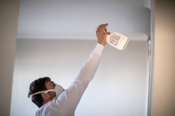 Best Office Mold Removal Services  in Diamond Springs, CA