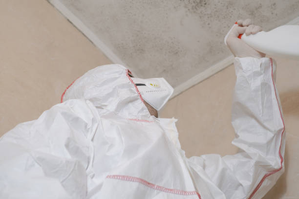 Best Residential Mold Removal  in Diamond Springs, CA
