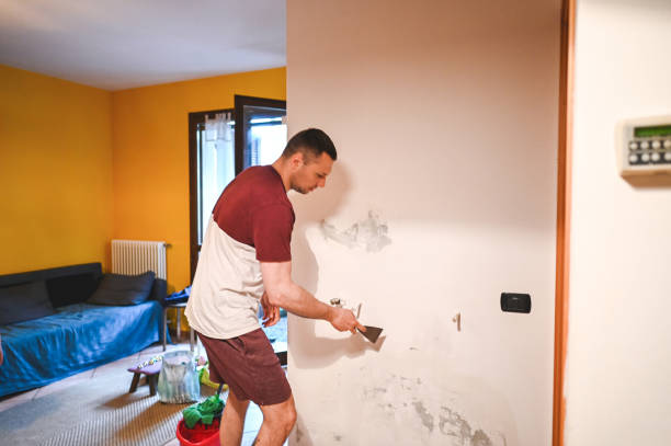 Office Mold Removal Services in Diamond Springs, CA